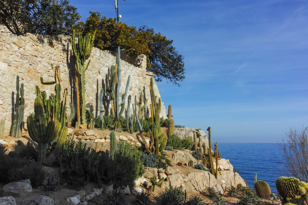Mediterranean landscape on the French Riviera